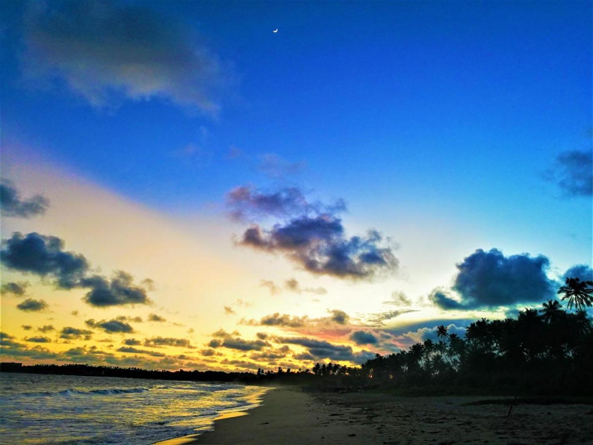 Sleeping Elephant Beach Resort Tangalle Exterior photo